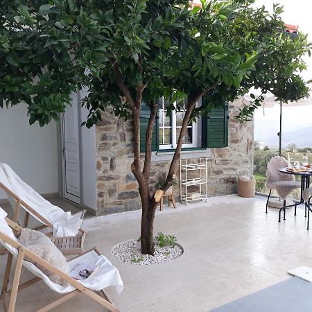Casinha Da Colina Villa Alfândega da Fé Exterior foto