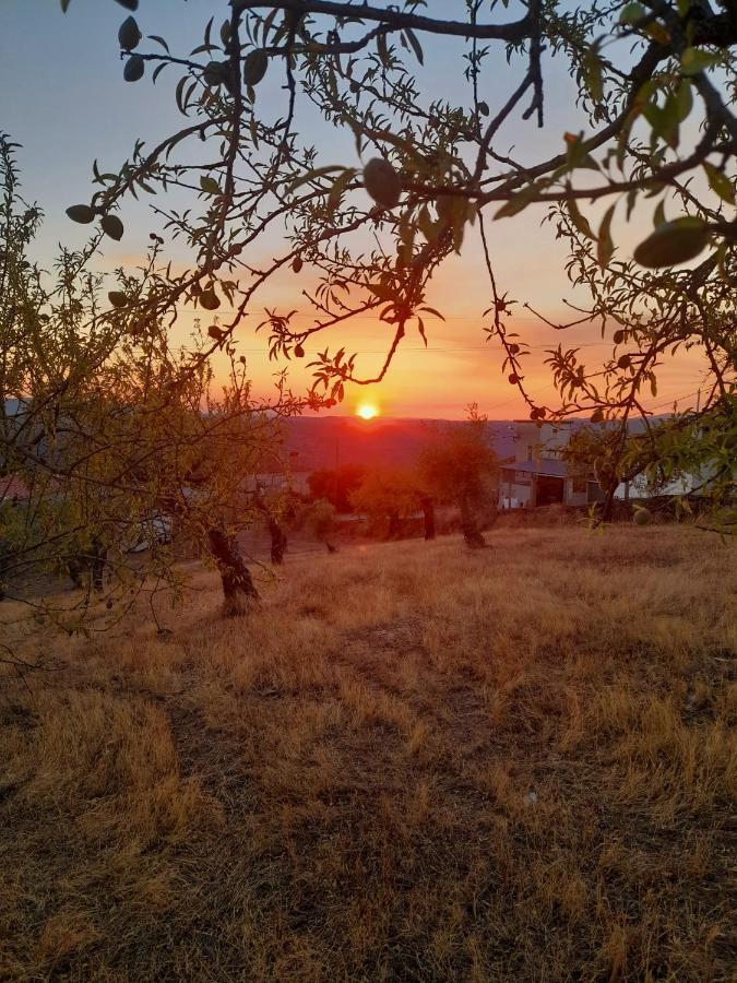 Casinha Da Colina Villa Alfândega da Fé Exterior foto